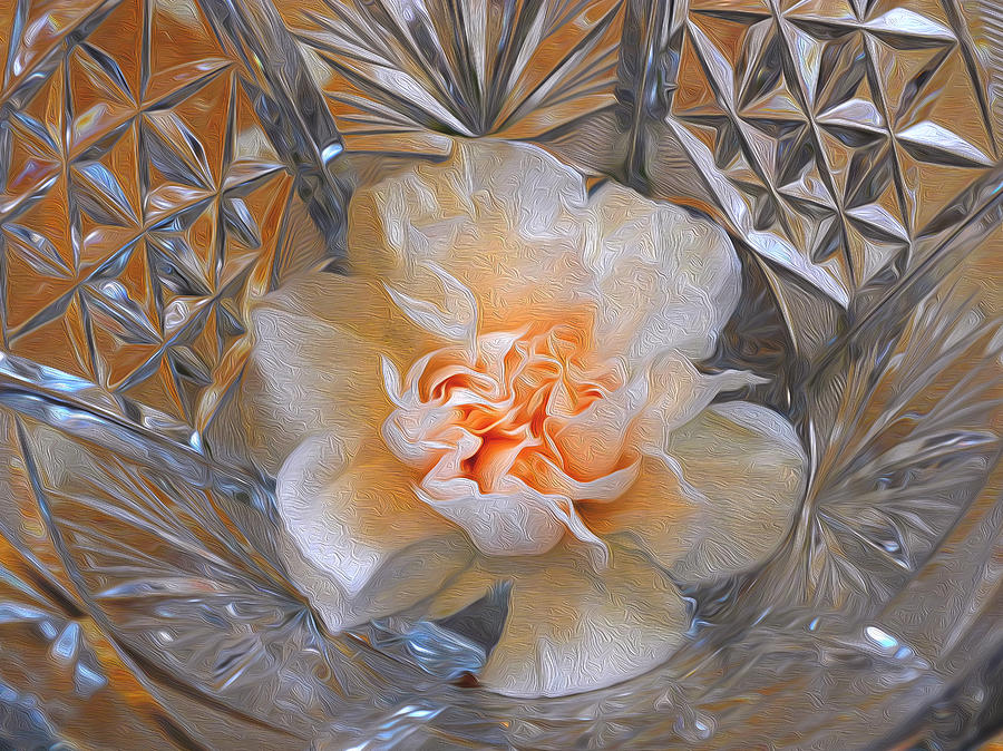 Carnation in Cut Glass 7 Photograph by Lynda Lehmann