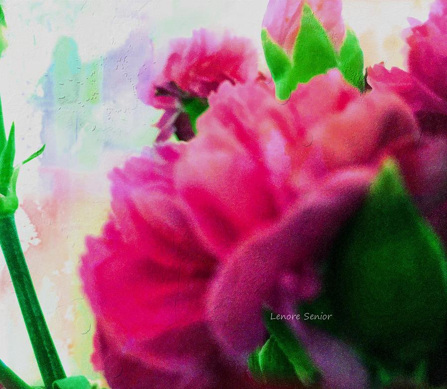 Carnations Photograph by Lenore Senior