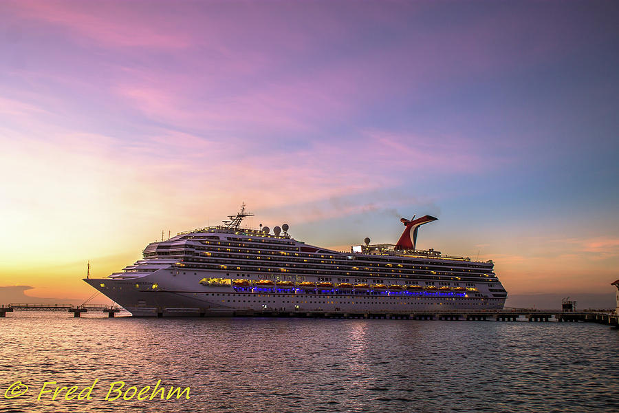 Carnival Freedom Photograph by Fred Boehm