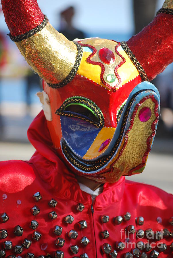 Carnival Red Duck Portrait Photograph by Heather Kirk