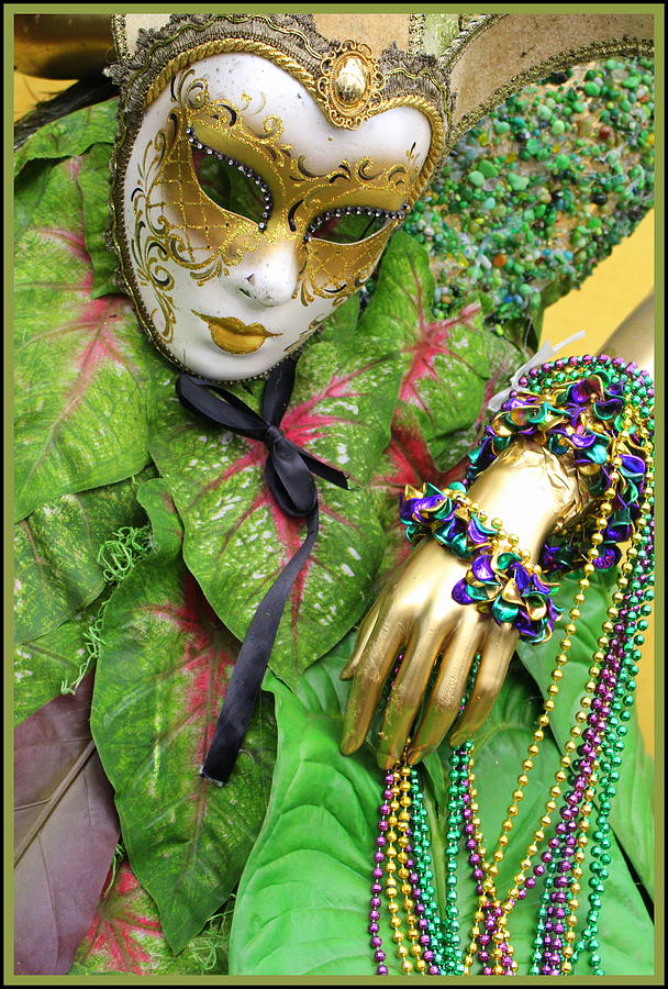 Carnival Time - New Orleans Photograph by Dora Sofia Caputo