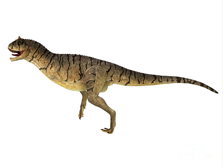 Carnotaurus Sastrei Dinosaur Side Profile Digital Art