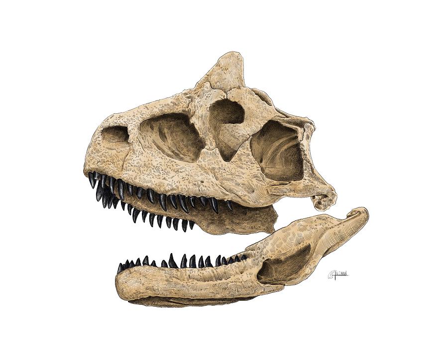 Carnotaurus Skull Digital Art by Rick Adleman