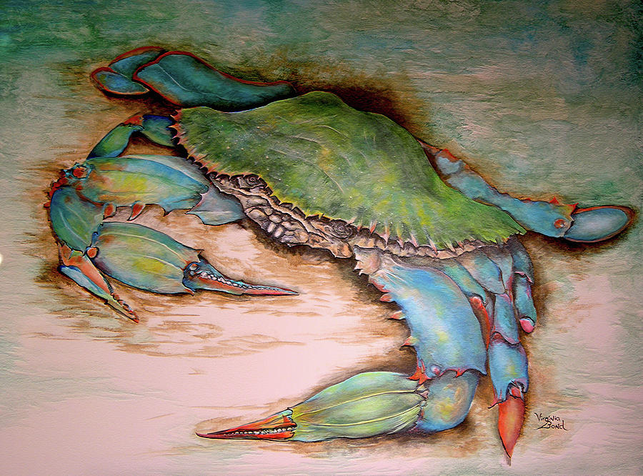 Carolina Blue Crab Painting by Virginia Bond
