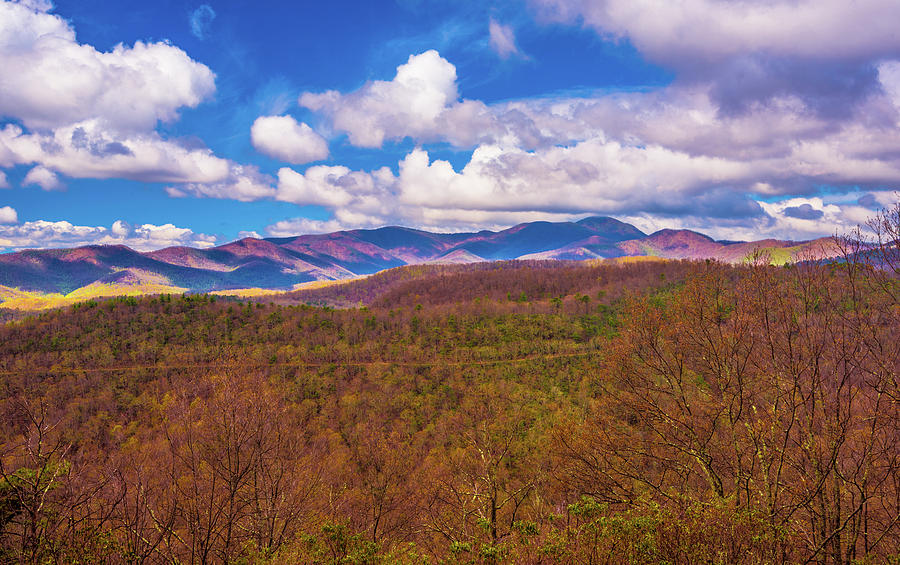 Carolina Blue Ridge I Photograph by Steven Ainsworth