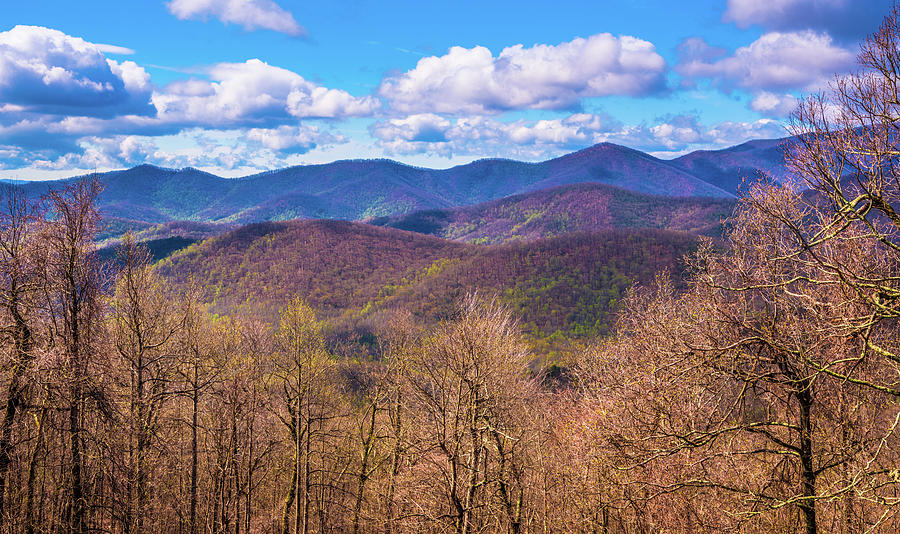Carolina Blue Ridge II Photograph by Steven Ainsworth
