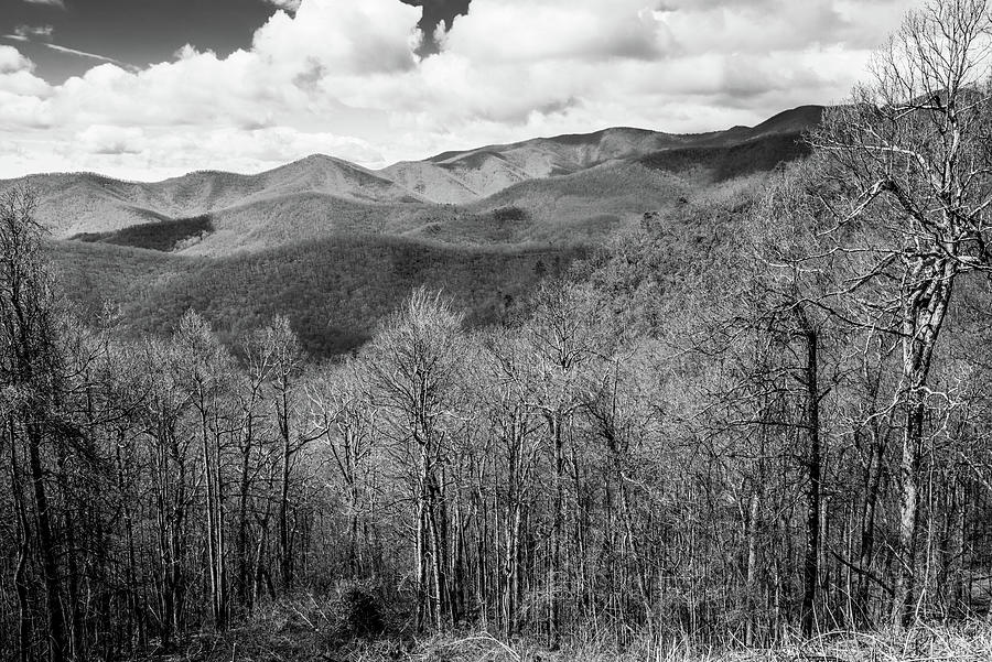 Carolina Blue Ridge III Photograph by Steven Ainsworth