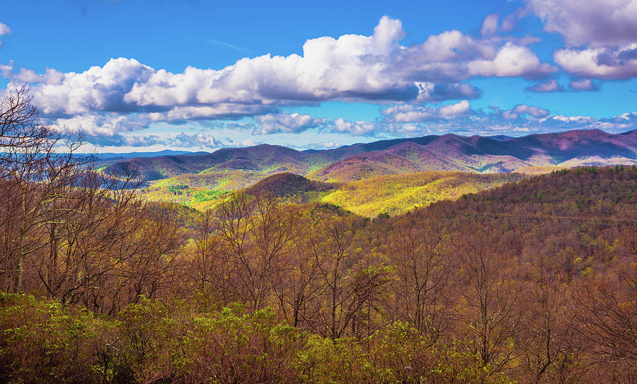 Carolina Blue Ridge IV Photograph by Steven Ainsworth