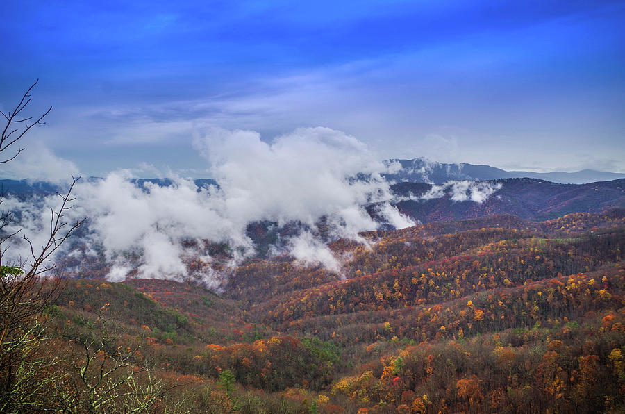 Carolina Colors of Autumn Photograph by Gerald Monaco | Fine Art America