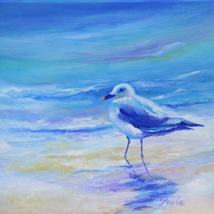 Carolina Gull Painting by Pamela Poole