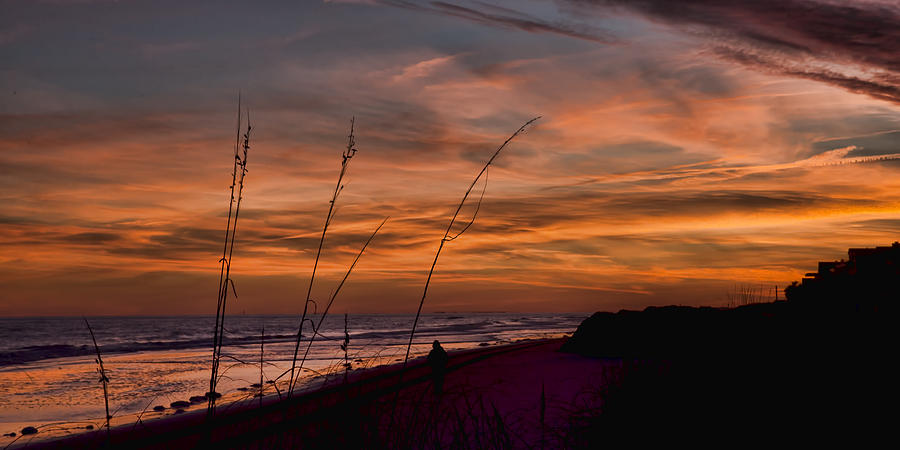 Sunset Photograph - Carolina on My Mind by Evie Carrier