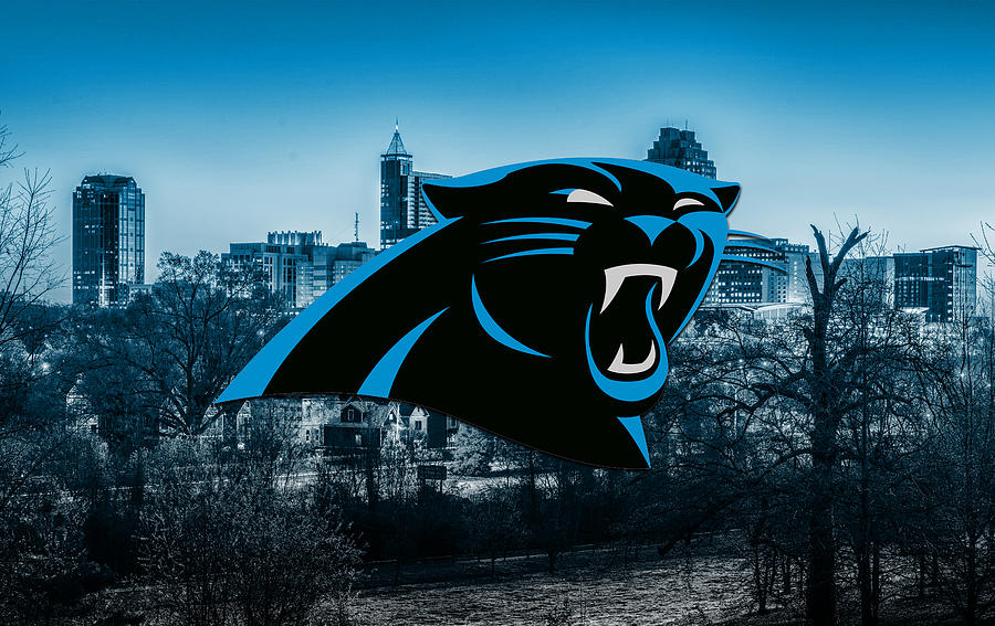 Carolina Panthers Artwork Digital Art by SportsHype Art