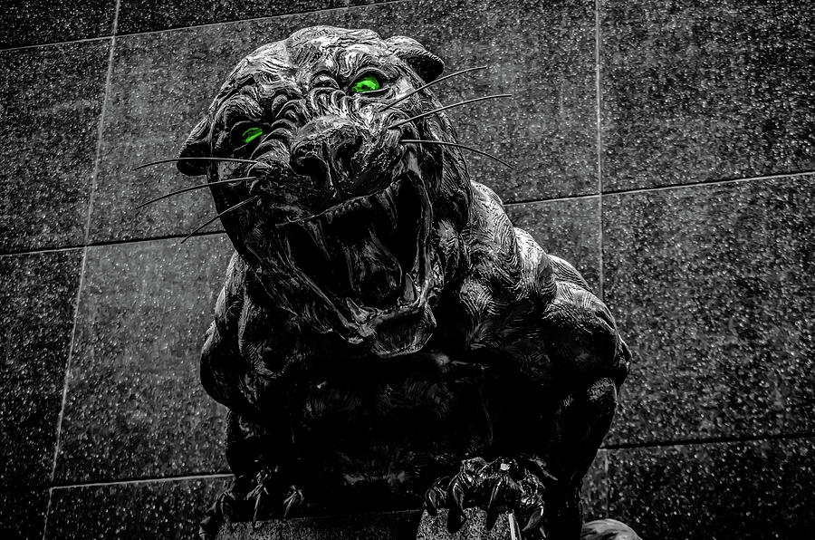 Carolina Panthers Mascot Statue With Green Eyes Photograph by Alex Grichenko