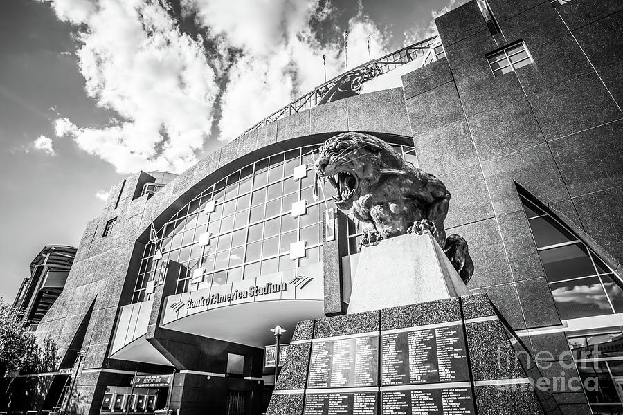Carolina Panthers Photograph - Carolina Panthers Stadium Black and White Photo by Paul Velgos