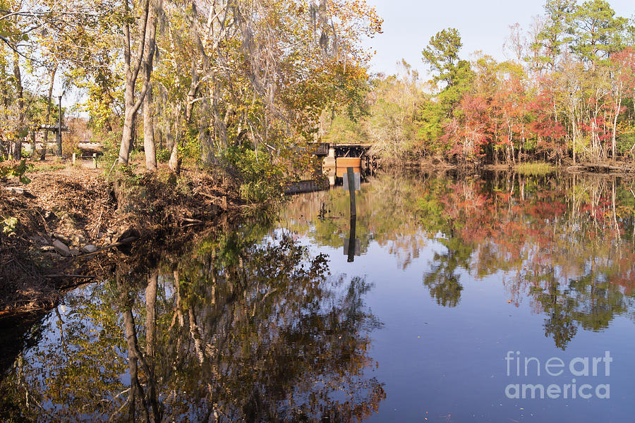 Carolina Southern Rail Bridge and Waccamaw River Autumn Photograph by MM Anderson