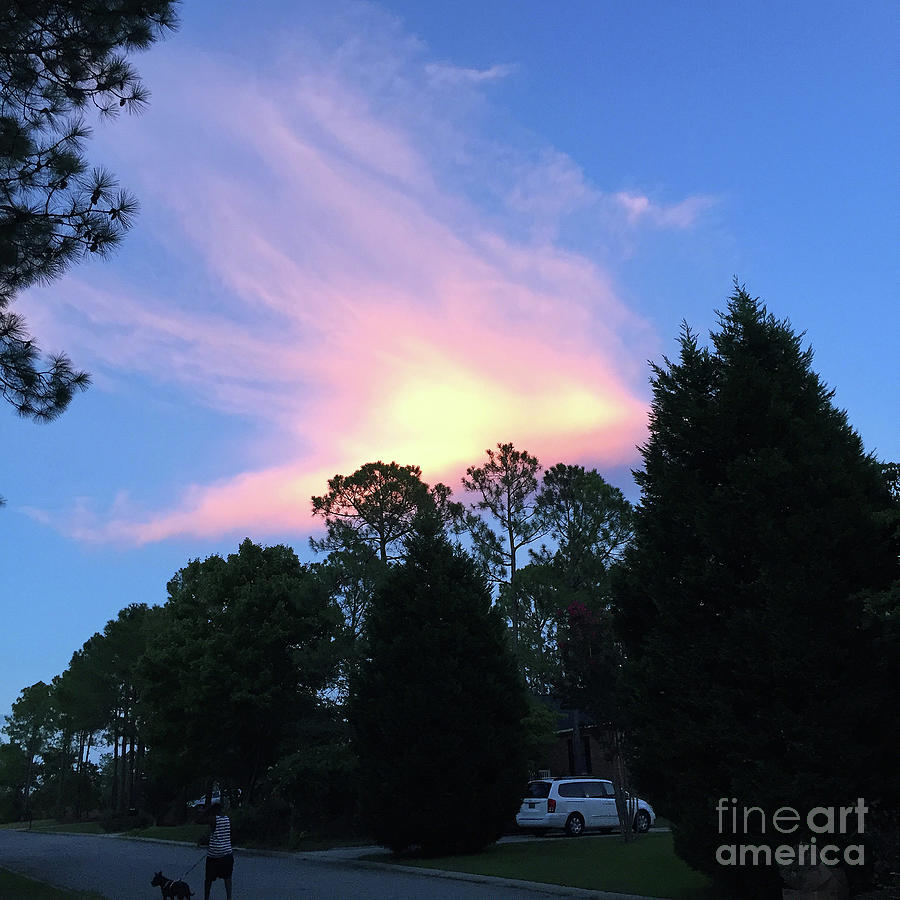  Carolina Summer Sky Photograph by Matthew Seufer
