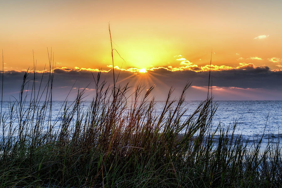 Carolina Sunrise Photograph by Paul Malcolm