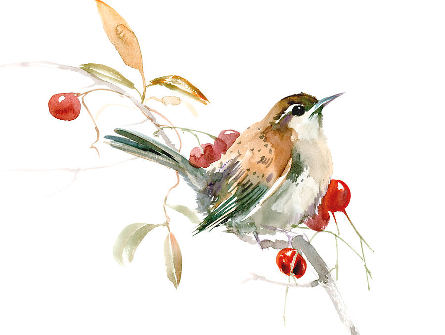 Carolina Warbler Painting by Suren Nersisyan