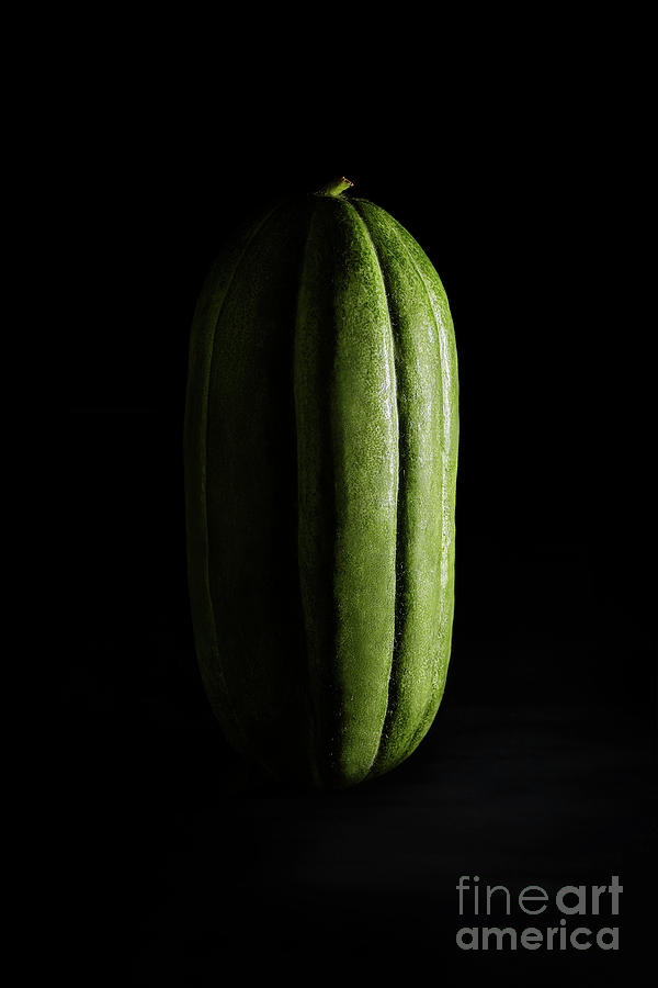 Fruit Photograph - Carosello Barese Cucumber by Corina Daniela Obertas