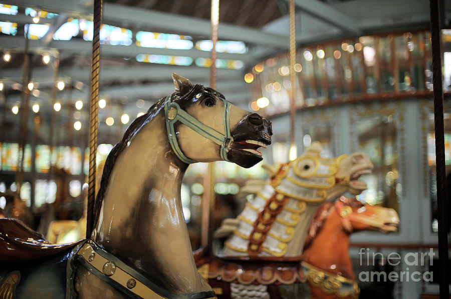 Carousel #2 Photograph by Carien Schippers