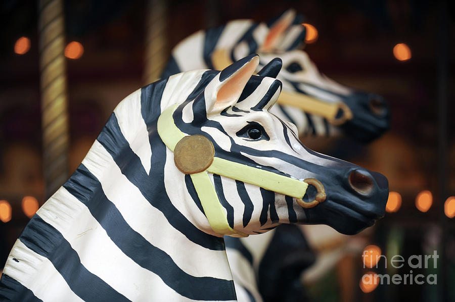 Carousel #315 Photograph by Carien Schippers