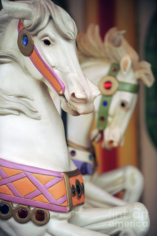Carousel #324 Photograph by Carien Schippers
