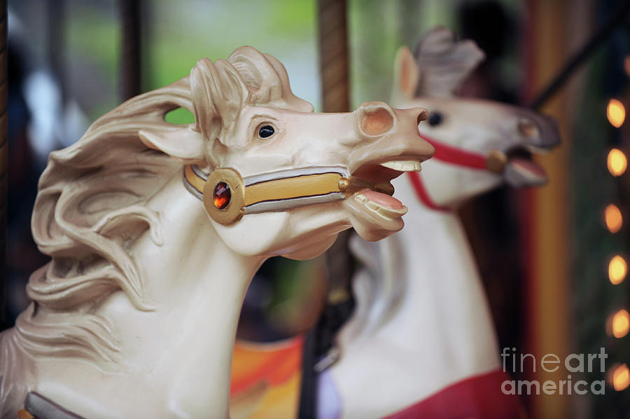 Carousel #341 Photograph by Carien Schippers