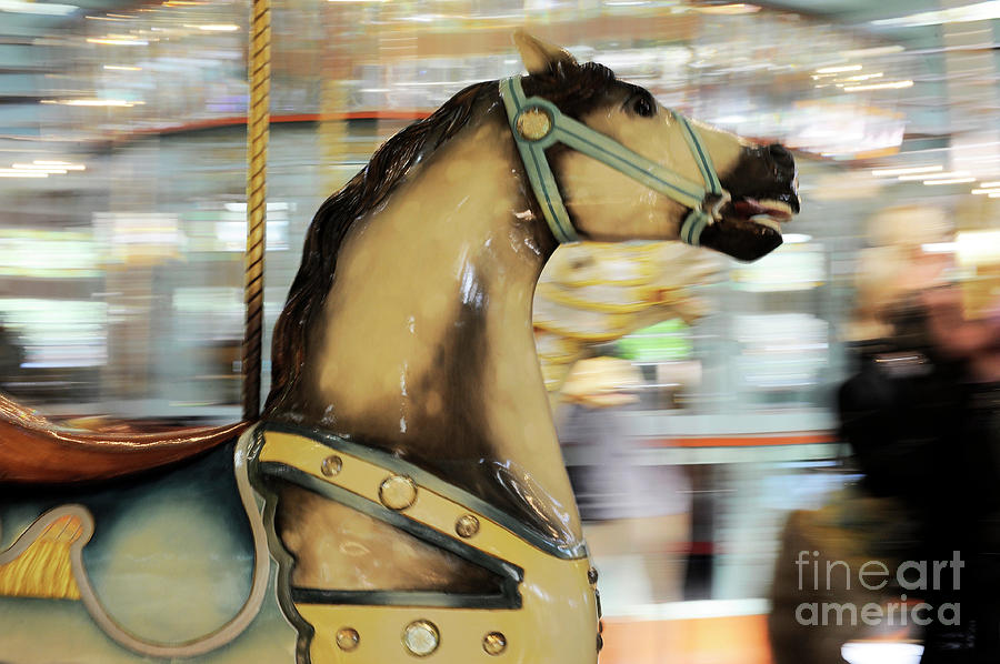 Carousel #39 Photograph by Carien Schippers