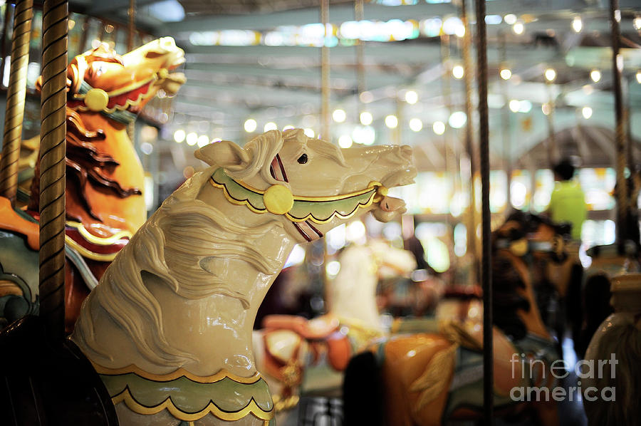 Carousel #4 Photograph by Carien Schippers