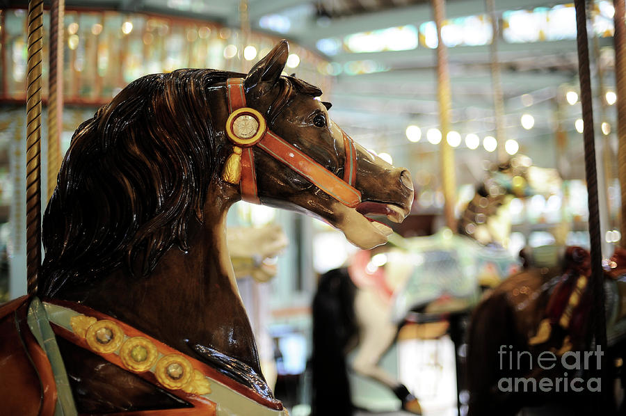 Carousel #44 Photograph by Carien Schippers
