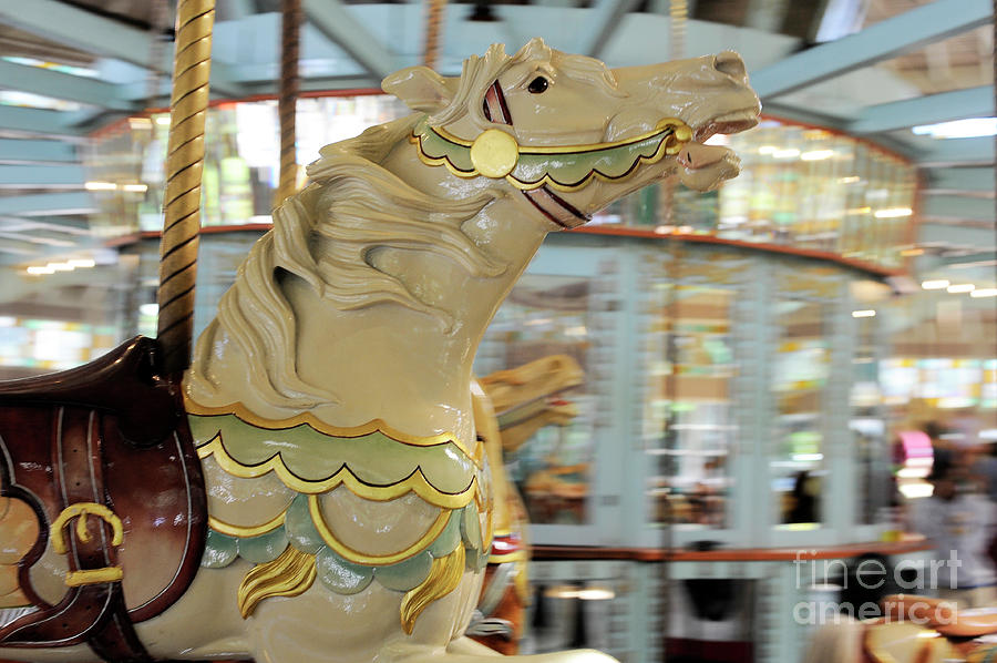 Carousel #49 Photograph by Carien Schippers