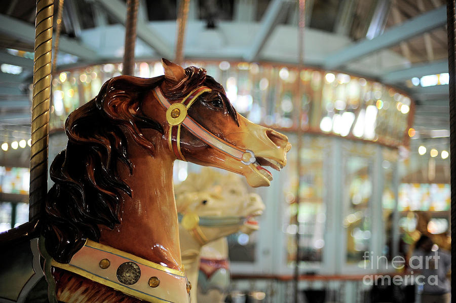 Carousel #76 Photograph by Carien Schippers