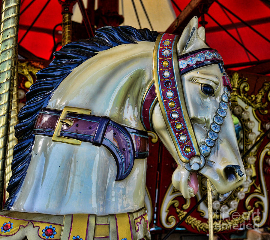 Carousel Horse - 7 Photograph by Paul Ward