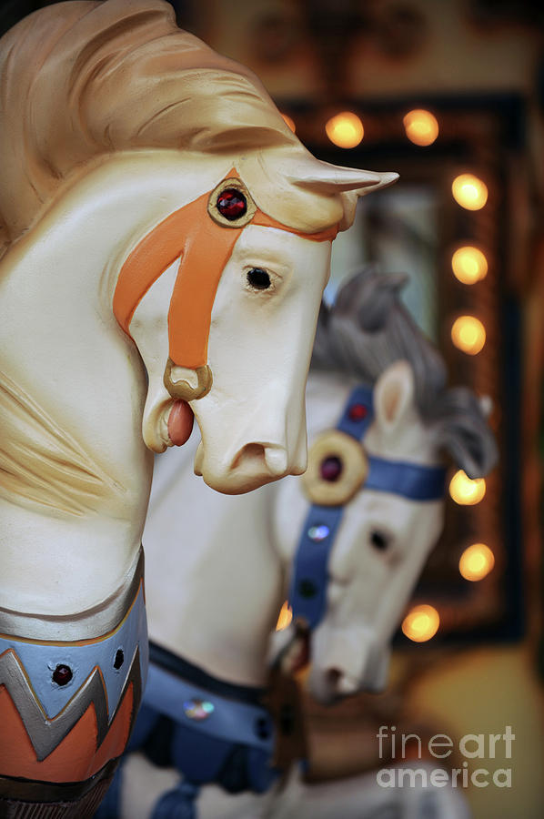 Carousel Horse #399 Photograph by Carien Schippers