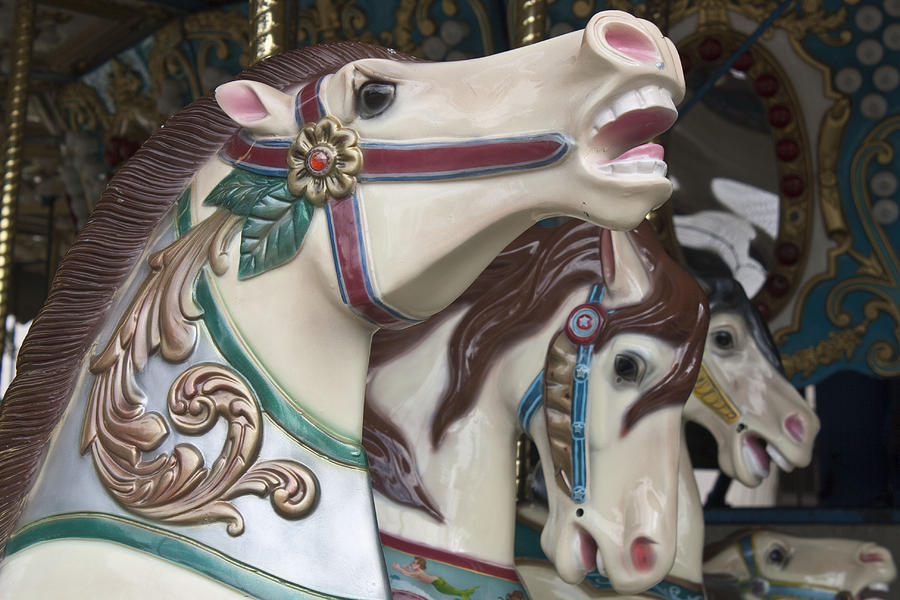 Carousel Horse Photograph by Donna Walsh