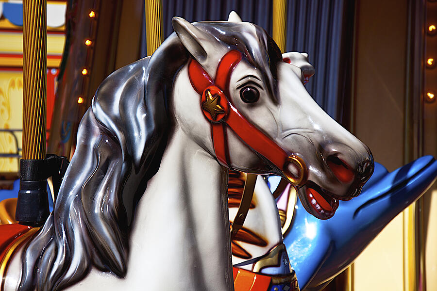 Fantasy Photograph - Carousel horse by Garry Gay
