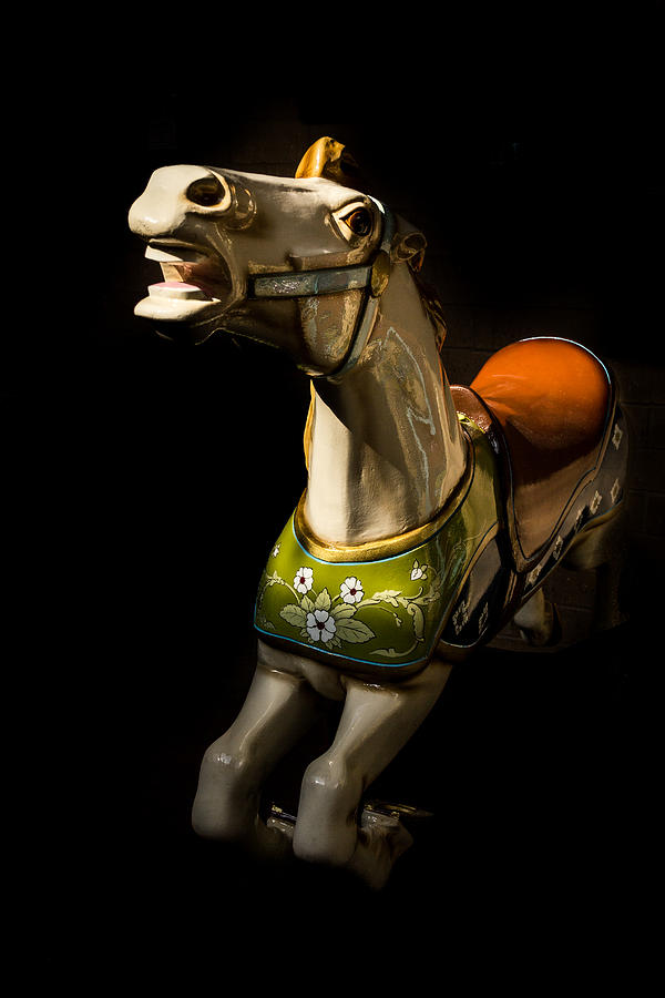 Carousel Horse Photograph by Jay Stockhaus