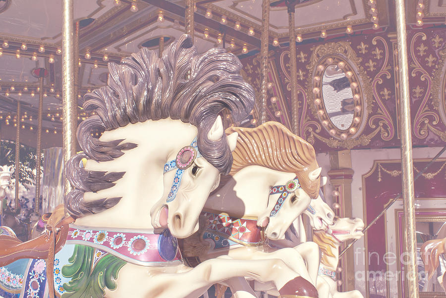 Carousel horses Photograph by Cindy Garber Iverson