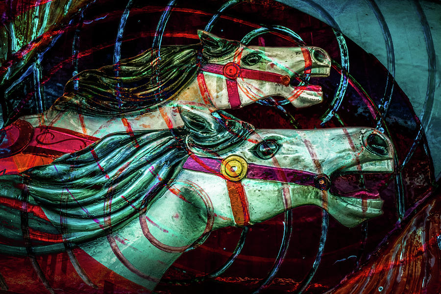 Carousel Horses Photograph by Michael Arend