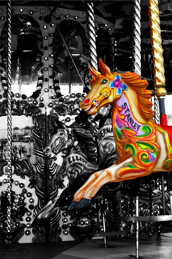 Horse Photograph - Carousel in isolation by Chris Day