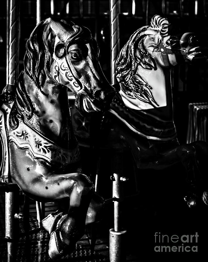 Carousel of Despair 3 Photograph by James Aiken