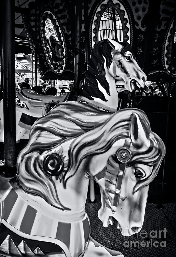 Carousel of Despair 6 Photograph by James Aiken