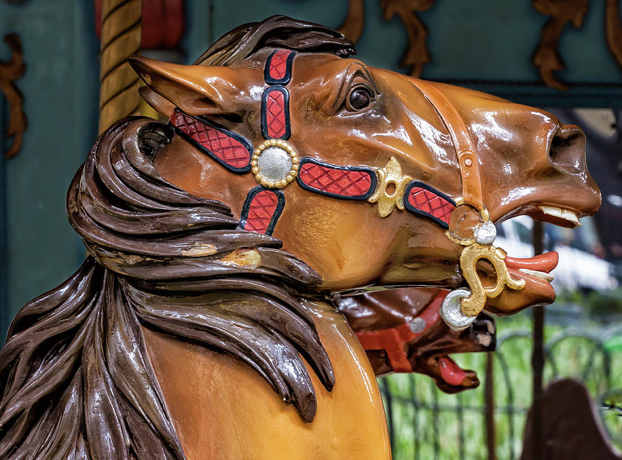  Carousel Ride Horse Photograph by Robert Ullmann