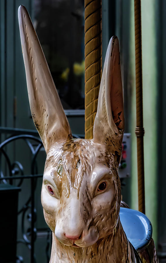 Carousel Ride Rabbit Photograph by Robert Ullmann