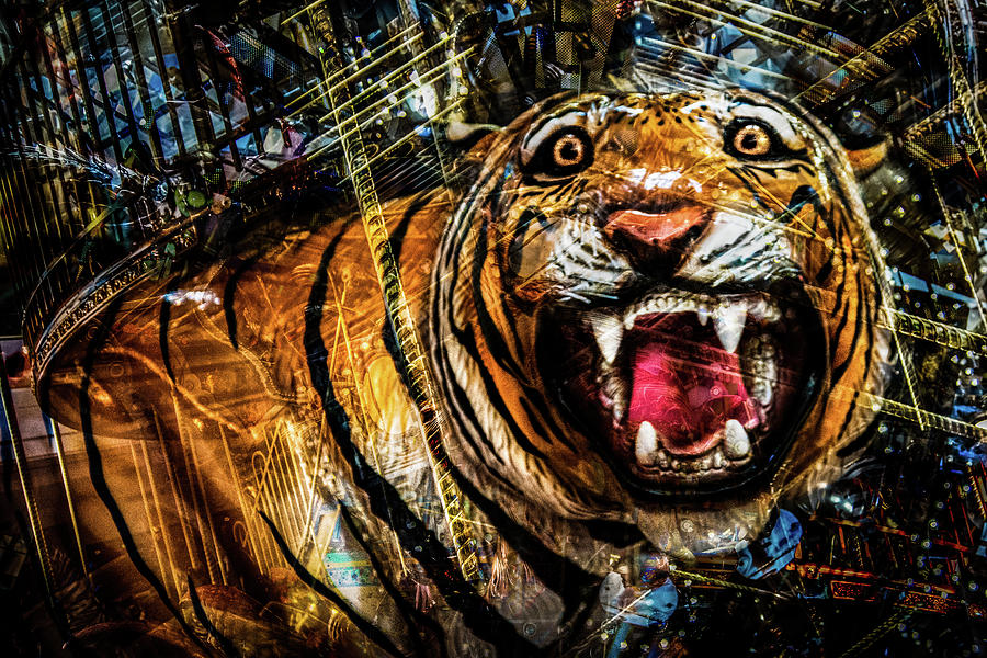 Carousel Tiger  Photograph by Michael Arend