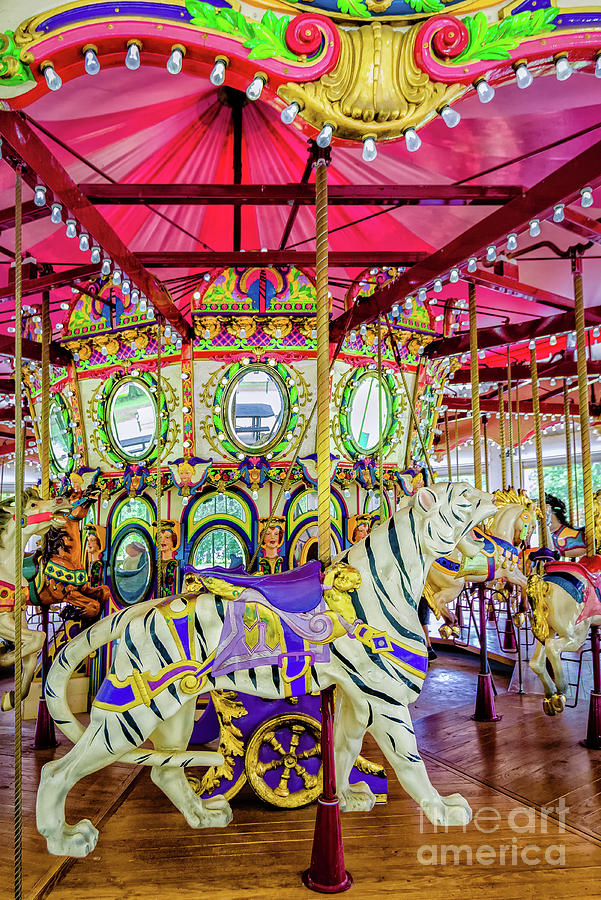 Carousel Tiger - Nola - Lafreniere Photograph by Kathleen K Parker