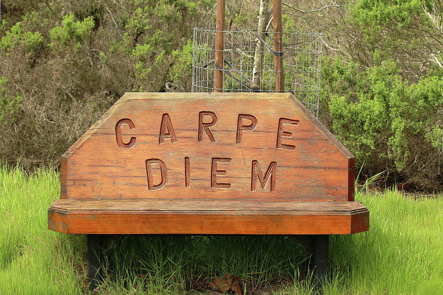 Carpe Diem Bench Photograph by Art Block Collections