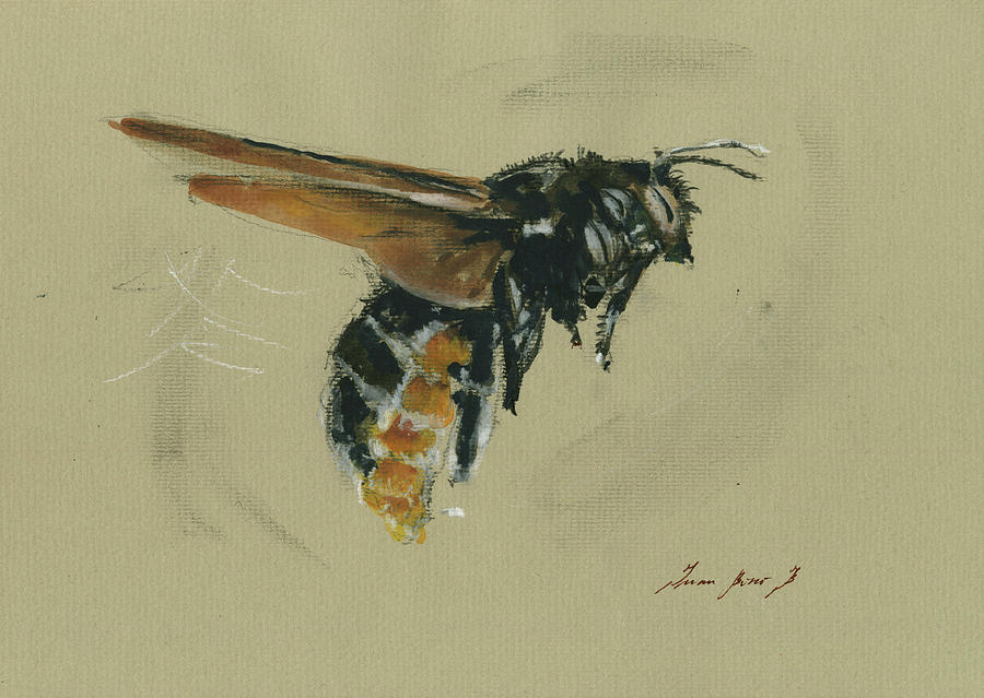 Honey Bee Watercolor Painting - Carpenter bee by Juan Bosco