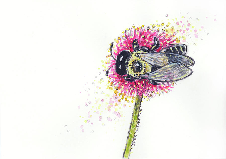 Flowers Still Life Drawing - Carpenter Bee by Maria Bolton-Joubert