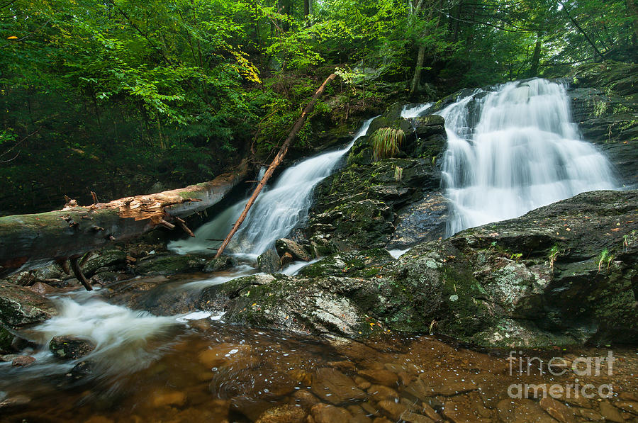 Carpenters Falls at Granby - Waterfall in Summer Forest Photograph by JG Coleman